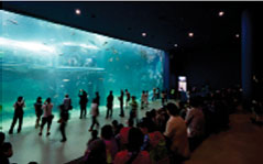 Aquaplanet Yeosu