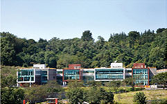 Yongsan International School